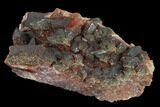 Natural, Red Quartz Crystal Cluster - Morocco #131355-2